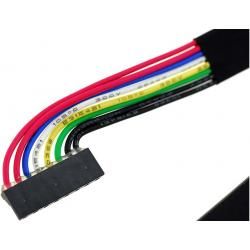 akumulátor pre Tablet Asus Typ C21-EP101_2